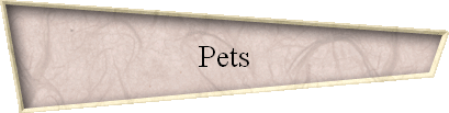 Pets