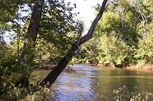 neuse_river